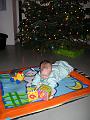 Imme 23 december 2006 (1)
